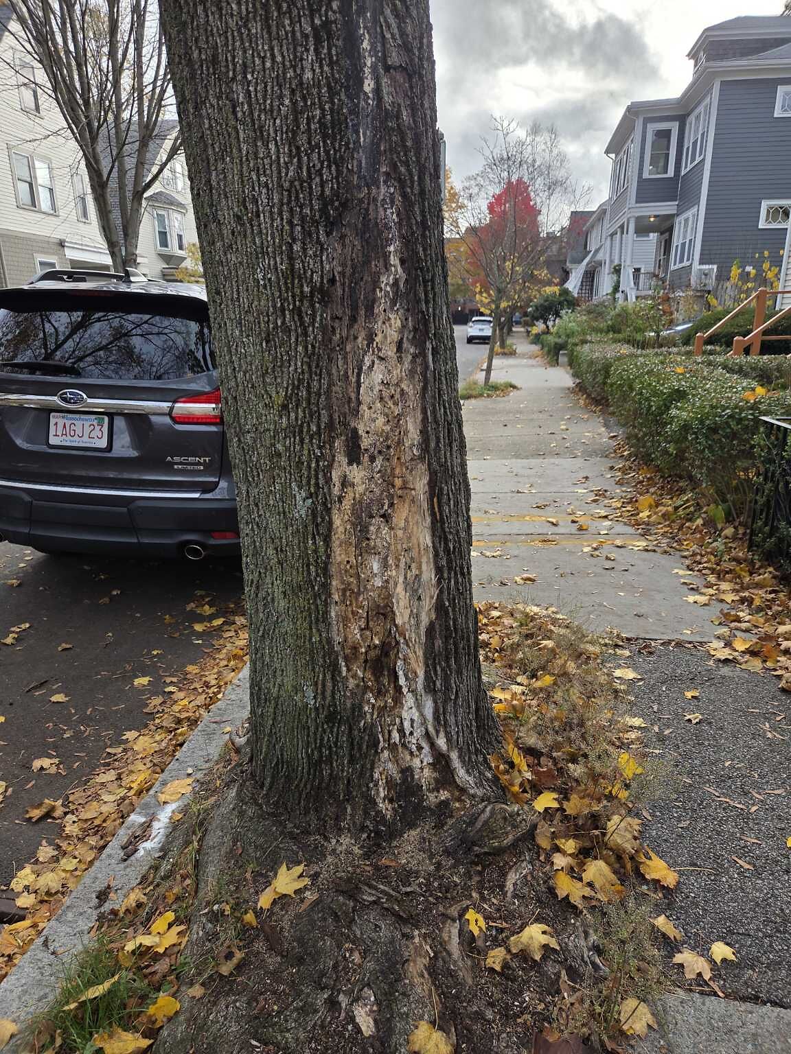 Photo_20251109_090526