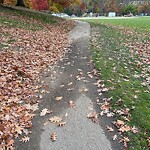 Other at 45 Amory St