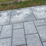 Park Playground at 100 Fisher Ave