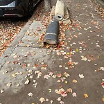 Trash/Recycling at 40 Winchester St