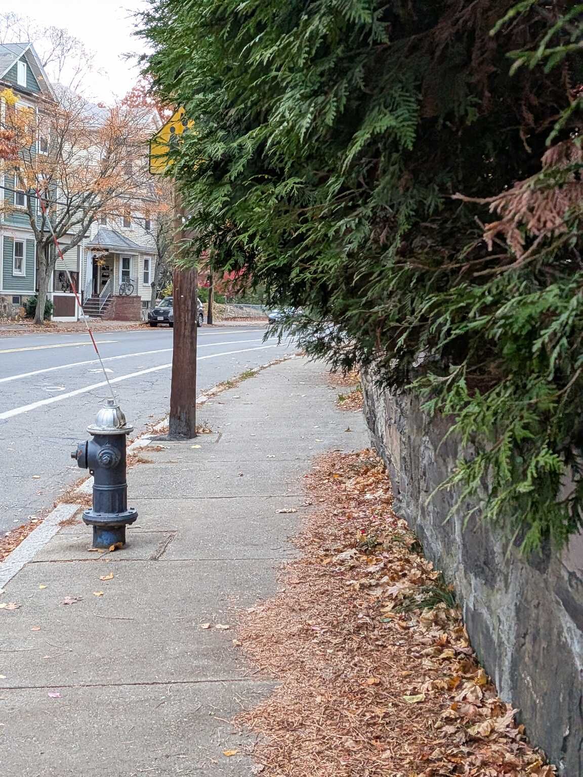 Photo_20251109_145244