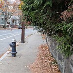 Sidewalk Obstruction at 5 Wellington Terrace
