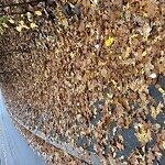 Sidewalk Obstruction at Pond Ave