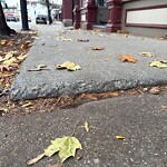 Sidewalk Repair at 236 Washington St