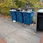 Trash/Recycling at 6 Station St