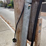 Graffiti at 101 Beaconsfield Rd