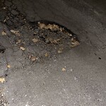 Pothole at 4–42 St Marys Ct, 布鲁克莱恩