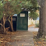Sidewalk Obstruction at 29 Mason Terr
