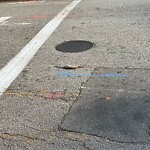 Dead Animals at 99 Harvard St