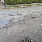 Pothole at 1–15 Norfolk Rd, Chestnut Hill
