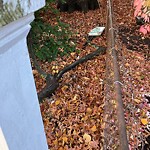 Damaged Sign at 16–44 Linden St