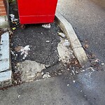 Other at 11 Williston Rd