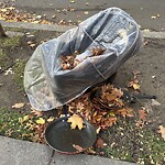 Trash/Recycling at 1131 Beacon St