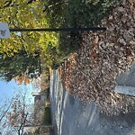 Sidewalk Obstruction at Essex St