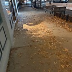 Sidewalk Obstruction at 1636 Beacon St