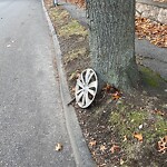 Trash/Recycling at 95 Blake Rd