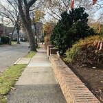 Other at 16 Chilton St