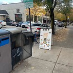 Sidewalk Obstruction at 179 Amory St