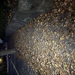 Sidewalk Obstruction at 15 Kennard Rd