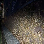 Sidewalk Obstruction at 15 Kennard Rd