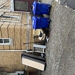 Trash/Recycling at Park Vale