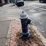 Graffiti at 473 Harvard St