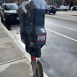 Graffiti at 455 Harvard St