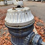 Water and Sewer at 49 Davis Ave