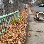 Sidewalk Obstruction at 101 Sumner Rd