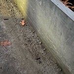 Other at 42.34 N 71.13 W