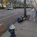 Trash/Recycling at 276 Cypress St