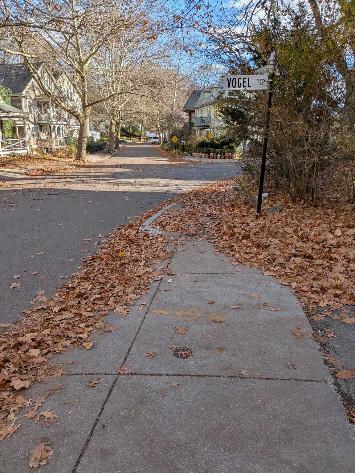 Photo_20251128_071733