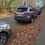 Parking Issues at 19 Oakland Rd