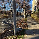 Trash/Recycling at 42.34 N 71.13 W