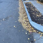 Trash/Recycling at 239 Mason Terr