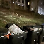 Rodent Issues at 33 Westbourne Terr, Brookline 02446