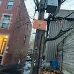 Graffiti at 26 Strathmore Rd