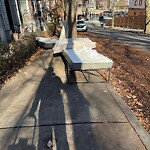 Trash/Recycling at 33 Stearns Rd