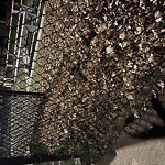 Sidewalk Obstruction at Pierce Playground, 34 Harvard Ave, Brookline 02446