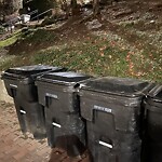 Rodent Issues at 31 Westbourne Terr, Brookline 02446