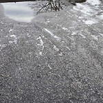 Water and Sewer at 155 Harvard St