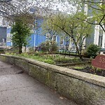 Sidewalk Repair at 53 Linden St