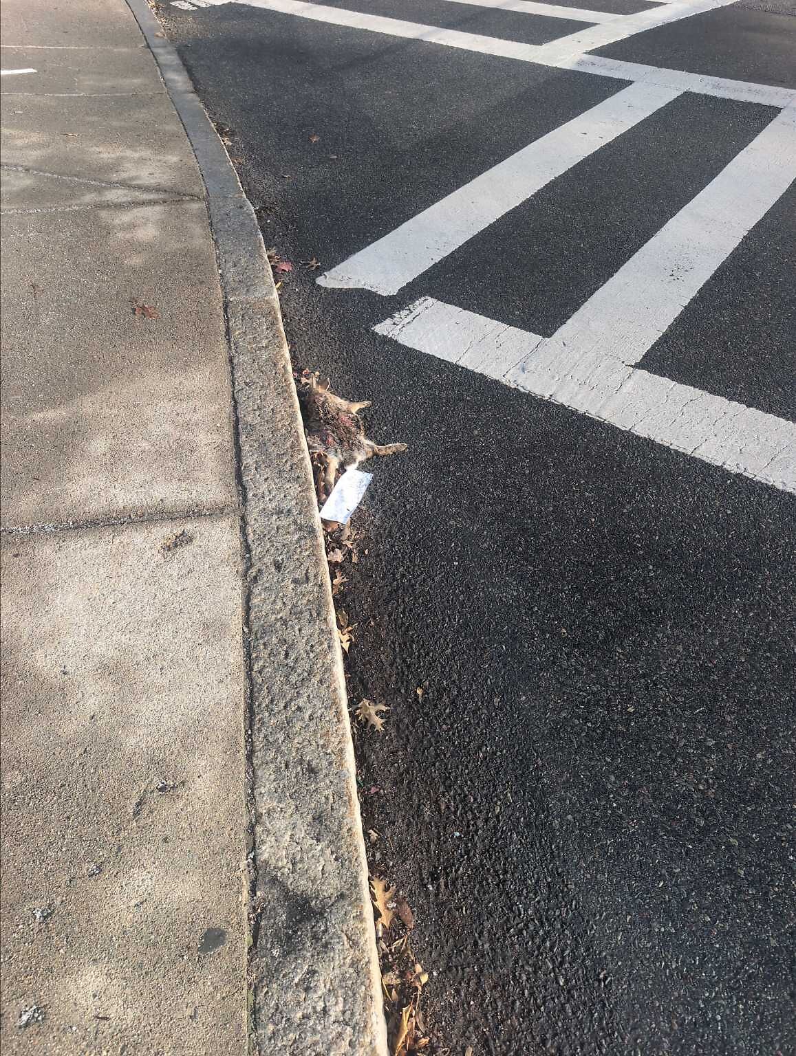 Photo_20251207_085202