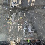 Sidewalk Obstruction at Beaconsfield Station