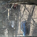 Sidewalk Obstruction at Beaconsfield Station