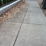 Sidewalk Obstruction at 1801 Beacon St