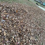 Park Playground at 1–99 Ackers Terr