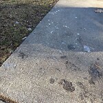 Sidewalk Obstruction at 169 Clark Rd