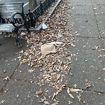 Sidewalk Obstruction at 1308 Beacon St