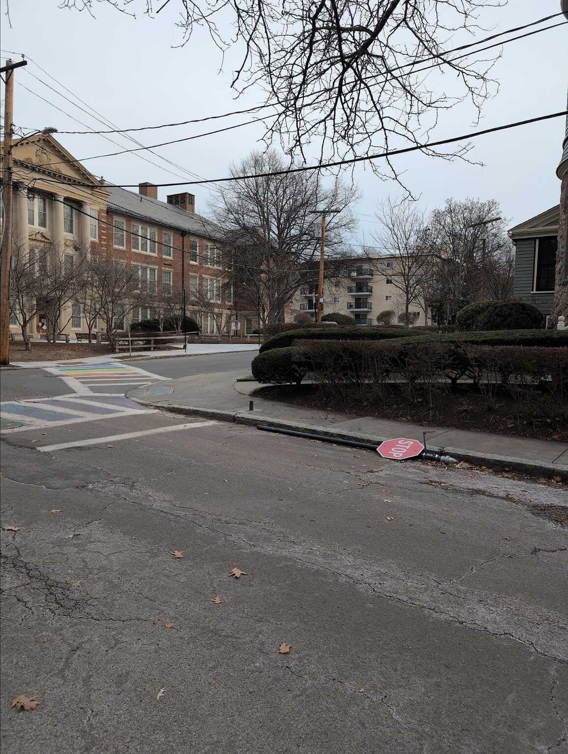 Photo_20251213_093102